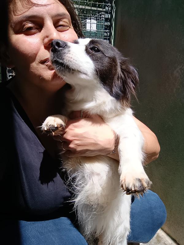 MAGDA - cagnolina di 3 anni - 8kg Foto 6